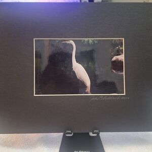 NWT - White Egret By Jack E. Stiddard 5x7/8x10 Mat